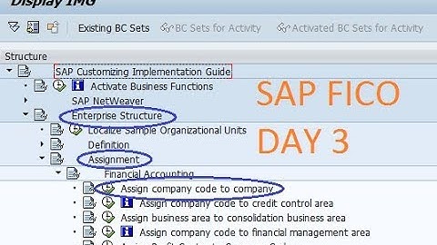 SAP FICO - Assign Company Cod To Company - T.COD (OX16) - DAY 3