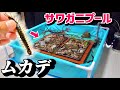 サワガニプールにムカデを投入すると…