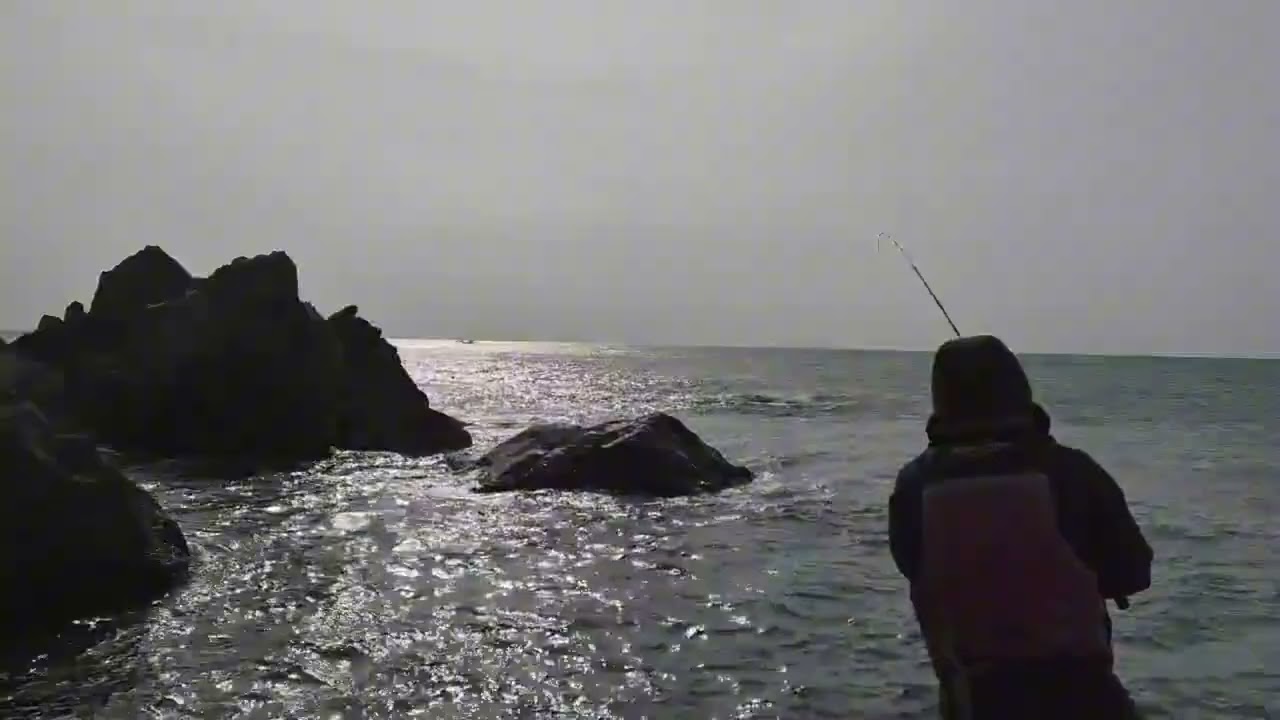 26년 2월 16일 여의봉찌의 학꽁치 일기