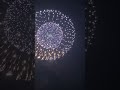 Giant Japanese Fireworks with a Delayed BOOM! 🎆🔊 #Shorts #Hanabi