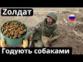 Z-солдат годують собаками перед штурмом
