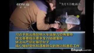 Train station mass stabbing attack 'was China's 9/11'