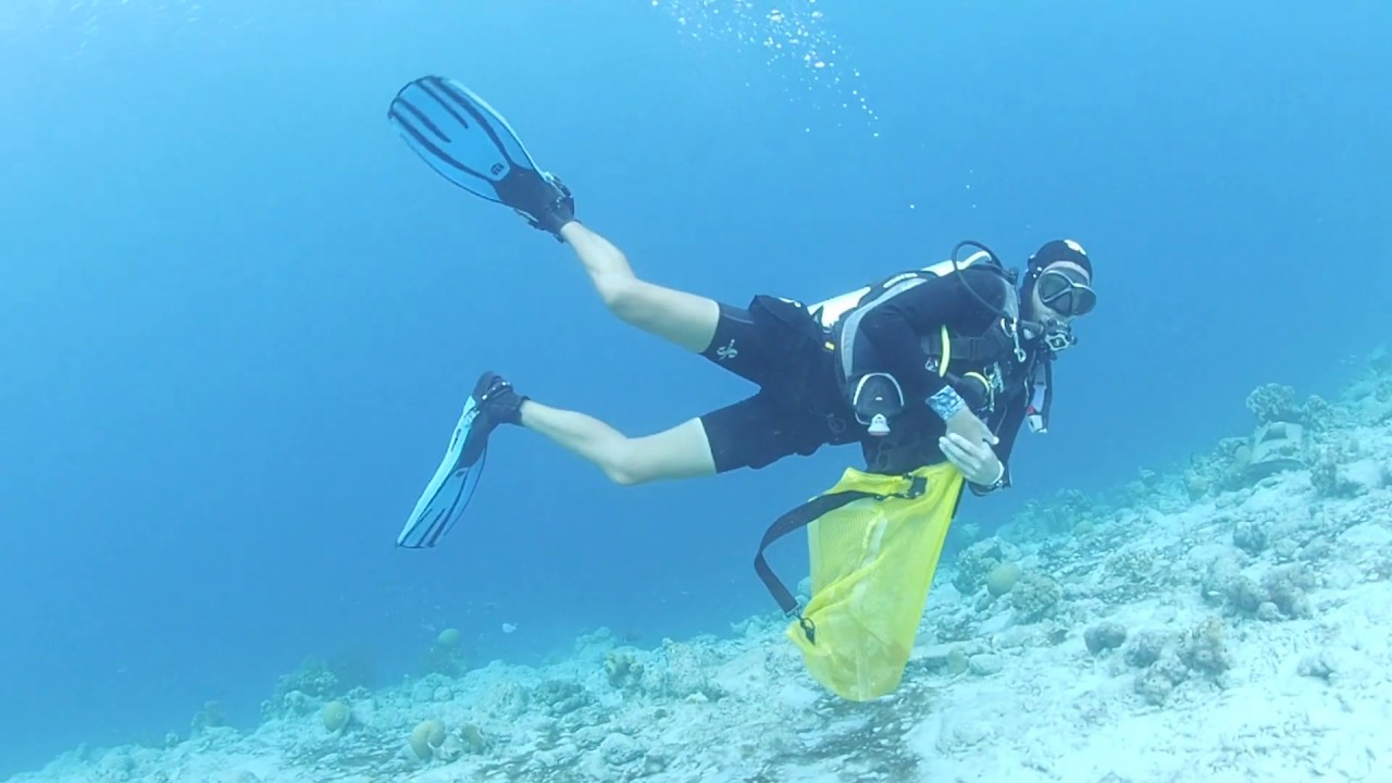 Clean Up Dive - Sand Dollar House Reef - Bari Reef