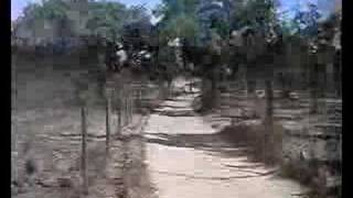 Baja Anta da Serra Portalegre 2006 Moto
