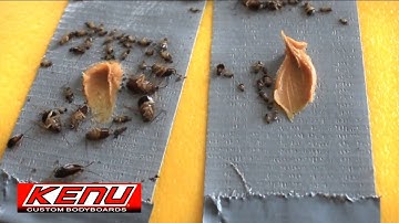 Kill da roach! Duct tape trap extermination.