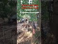 @Стефан Енев България Сърнево, бурята изплаши животни и птици