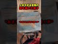 上手すぎる金魚の絵を描いた息子