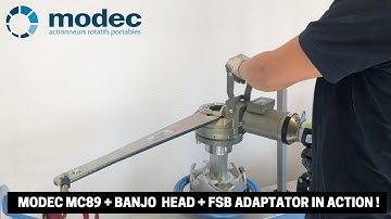 modec MC89 + Banjo Head + FSB adaptator in action !