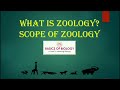 Exploring The World Of Zoology: Animals, Their Study And Impact