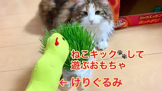 猫のおもちゃ