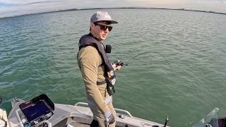 Moreton Bay - Finding Big Schools of Fish with Side Imaging & Live Sonar!
