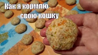 88. ЧЕМ Я КОРМЛЮ КОШКУ? Вкусные котлетки для Бусинки  по рецепту  Самвела Адамяна.