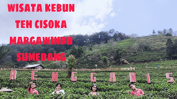 Wisata kebun teh Cisoka Margawindu Sumedang "Spot Rengganis"
