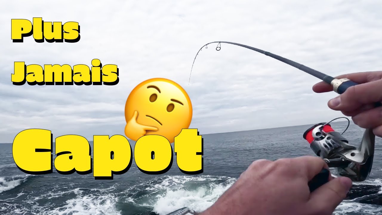 Comment pêcher le sar en iso fishing en Bretagne + recette traditionnelle