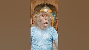 Vrindavan Temple ! #ai #funny #vlogger #comedy #aimonkeyvlog #monkey #cute #vrindavan #mathura #vlog