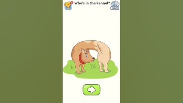 😵 This Dog Puzzle Will Blow Your Mind! 🐕 #DOP5 #BrainGame