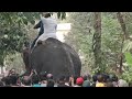 Kallingal And Kott Festival 2022