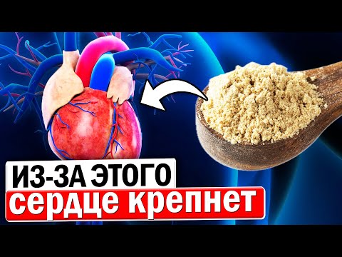 Смотрите! Доказали! Даже в 90 лет сердце работает как часы