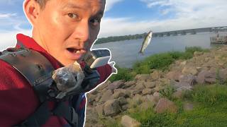 Big Fish Day for Lake Wisconsin Bank fishing(100 lbs of fish)