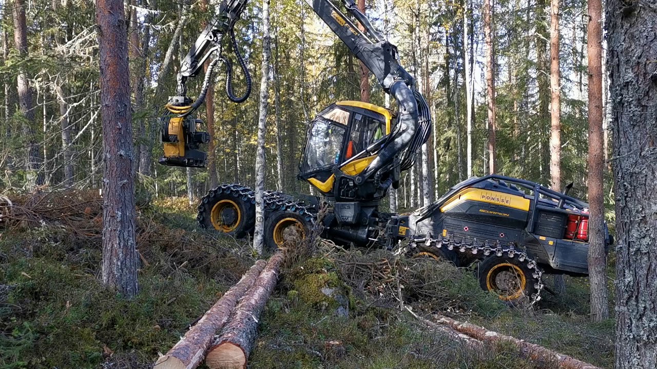 Ponsse scorpion h5 med flerträdshantering