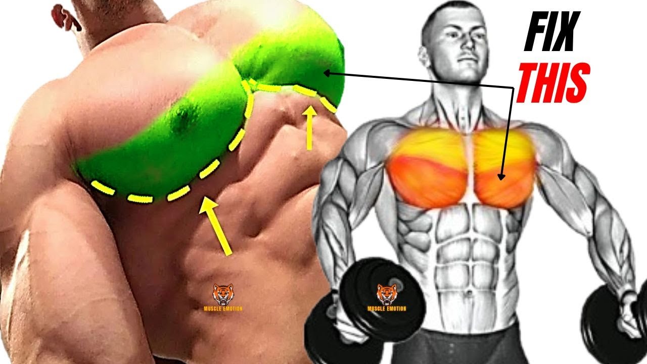 6 best lower chest workout at gym - YouTube