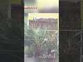Typhoon Halong pounds Tokyo’s southern Izu IslandsーNHK WORLD-JAPAN NEWS #shorts