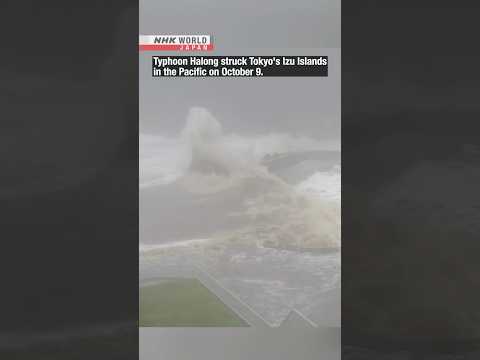 Typhoon Halong Pounds Tokyo S Southern Izu IslandsーNHK WORLD JAPAN NEWS Shorts