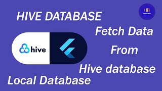 Hive Database | Fetch Data | Flutter Local Database
