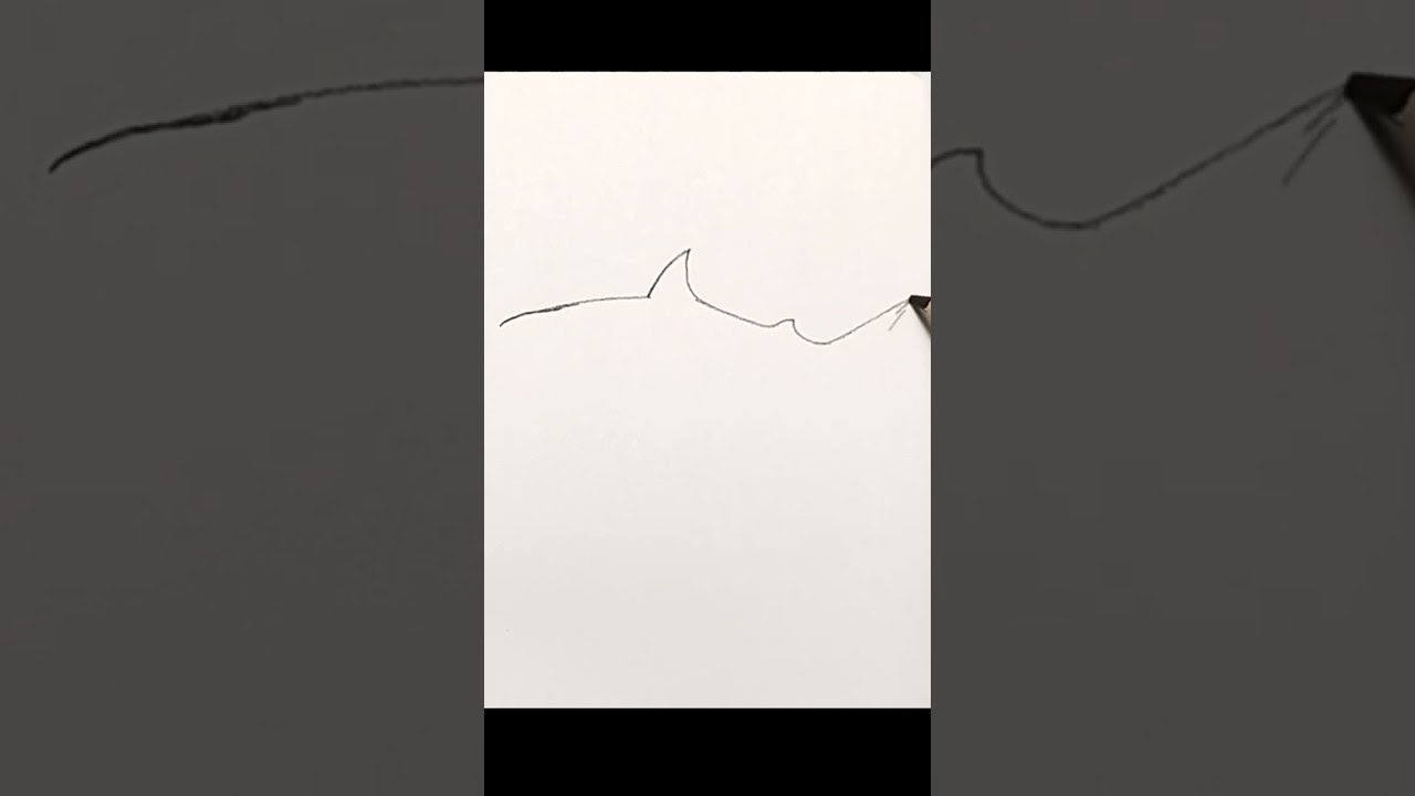 easy shark drawing 
