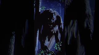 Download Lagu How to survive a werewolf attack #werewolf #werewolves #shorts MP3 Download Lagu How to survive a werewolf attack #werewolf #werewolves #shorts MP3