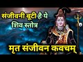 Shiv Stotram (Mrit Sanjeevani kavach) | संजीवनी बूटी है यह शिव स्तोत्र | Mritasanjeevani Stotra