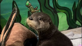 A special visitor to Something Wild