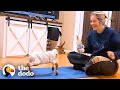 Baby Goat Who Couldn’t Stand Runs For The First Time | The Dodo