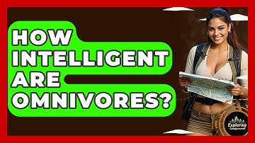 How Intelligent Are Omnivores? - Exploring Campgrounds