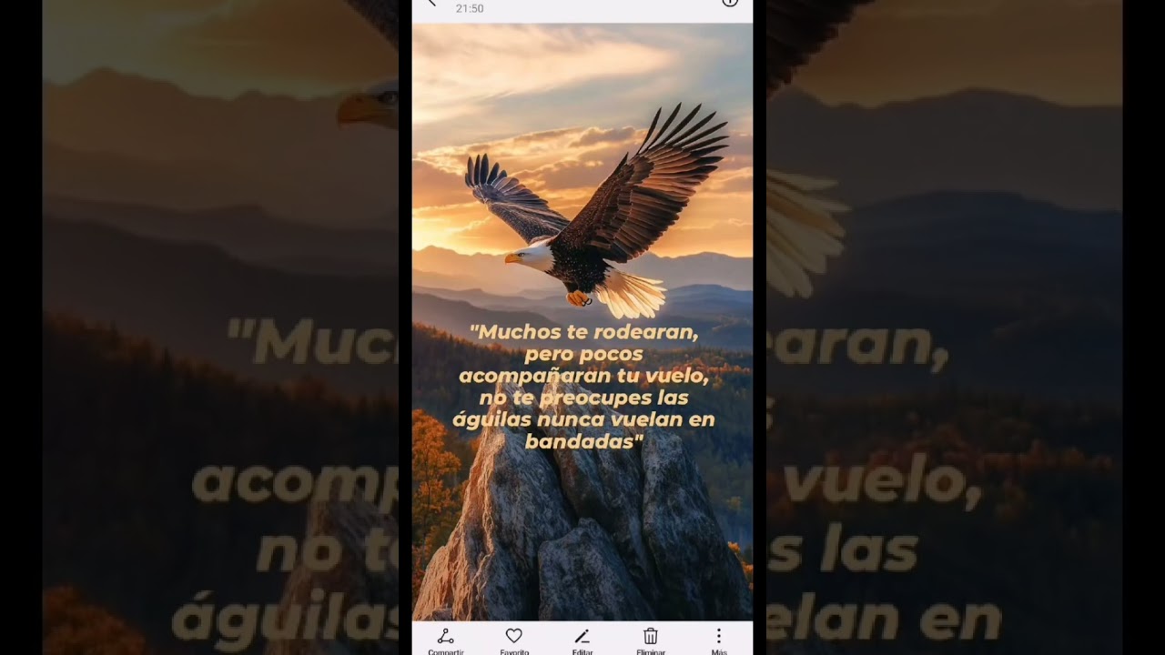 "Las águilas no vuelan en bandadas. Si te sientes solo, es porque estás listo para volar alto. 💫.