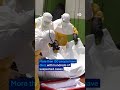 Ebola center burned as burial dispute sparks unrest | DW News