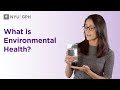 Human-Environment Interactions and Their Impact on Health
