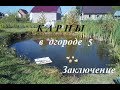 Карпы в огороде 5.