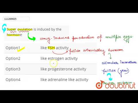 Видео: Суперовуляци хэзээ хамгийн их тохиолддог вэ?