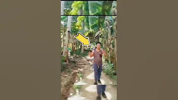 May Ibang Tao Sa Likod Shorts Trending Viral Wakwak Aswang Engkanto Trendingshorts 