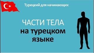 ЧАСТИ ТЕЛА на турецком языке