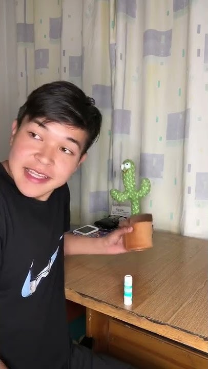 Как приручить кошку😂 - YouTube
