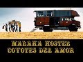 Coyotes del amor  malaka hostel official music