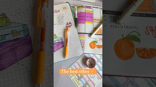 Planning with Zebra Pen = Good Vibes ✨ #planning