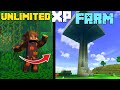 I Built an Infinite XP Farm In Minecraft 🤯|| Brotherzz SMP #2