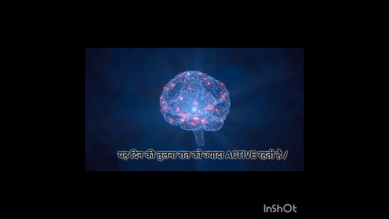 Some Facts About Brain 