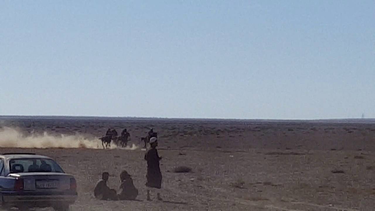 Bedouin horse race in jordan !! Our horse arrived second...enjoy