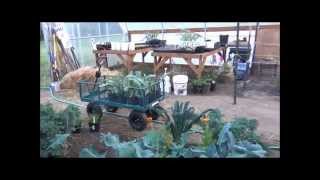 First look WeedWizard 2013 OMMP BioShelter 06102013