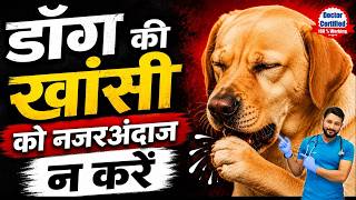 Kutte Ko Khansi Ho To Kya Kare | Kennel Home in Dogs Remidies | Medecine kutte ki khansi ka ilaj