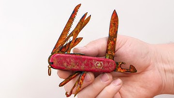 Rusty Swiss Army Knife Left To Rot...Knife Restoration!